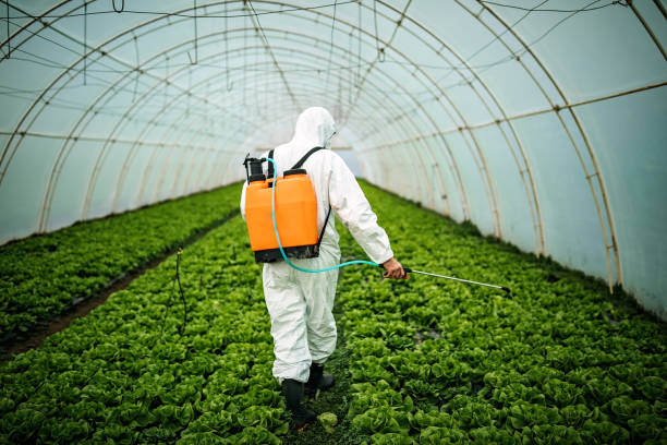 Best Pest Control for Homes  in Brownsville, FL