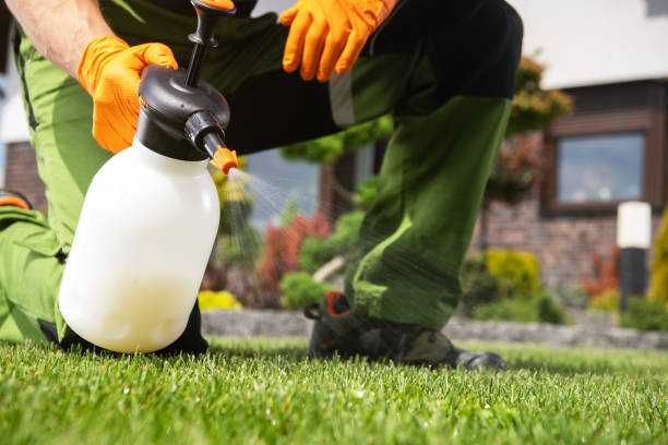 Best Best Pest Control Companies  in Brownsville, FL