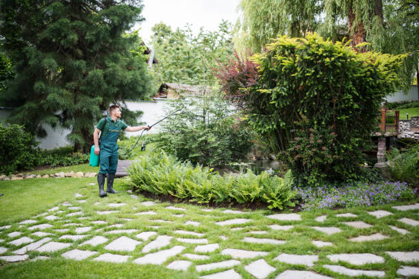 Best Ant Control Services  in Brownsville, FL