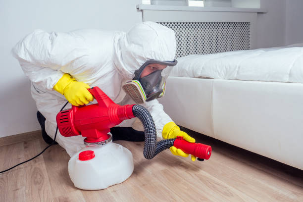 Best Termite Control Services  in Brownsville, FL