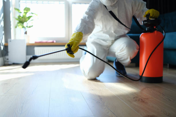 Best Mosquito Control Services  in Brownsville, FL
