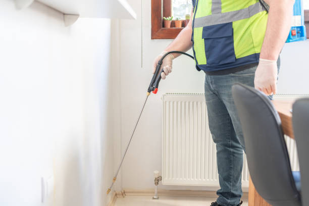 Best Pest Prevention Services  in Brownsville, FL