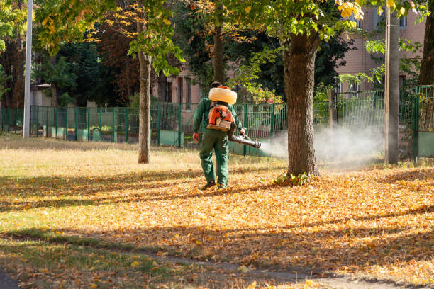 Best Wasp Removal Services  in Brownsville, FL
