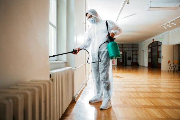 Best Ant Control Services  in Brownsville, FL
