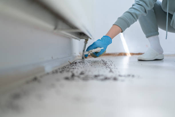 Best Wildlife Control Services  in Brownsville, FL